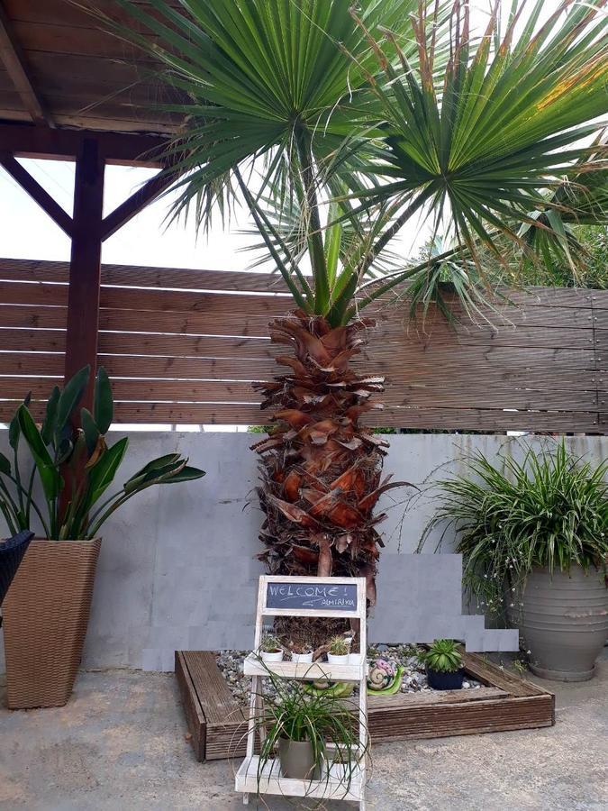 Almirikia Apartments Mourteri Luaran gambar